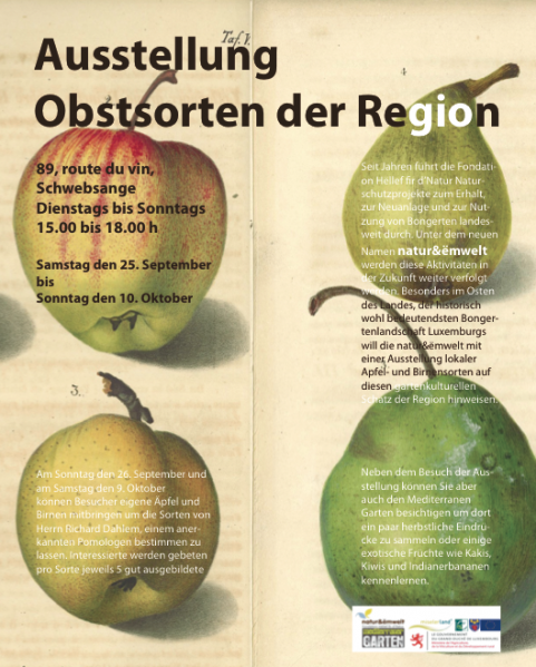 Datei:Obstsortenausstellung.png