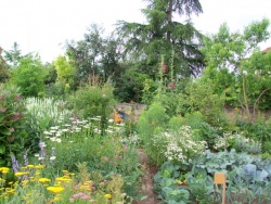 Schwebsange 2007.JPG