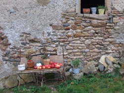 DSCF5390 2.JPG