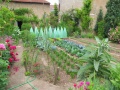 Gemüsegarten.JPG